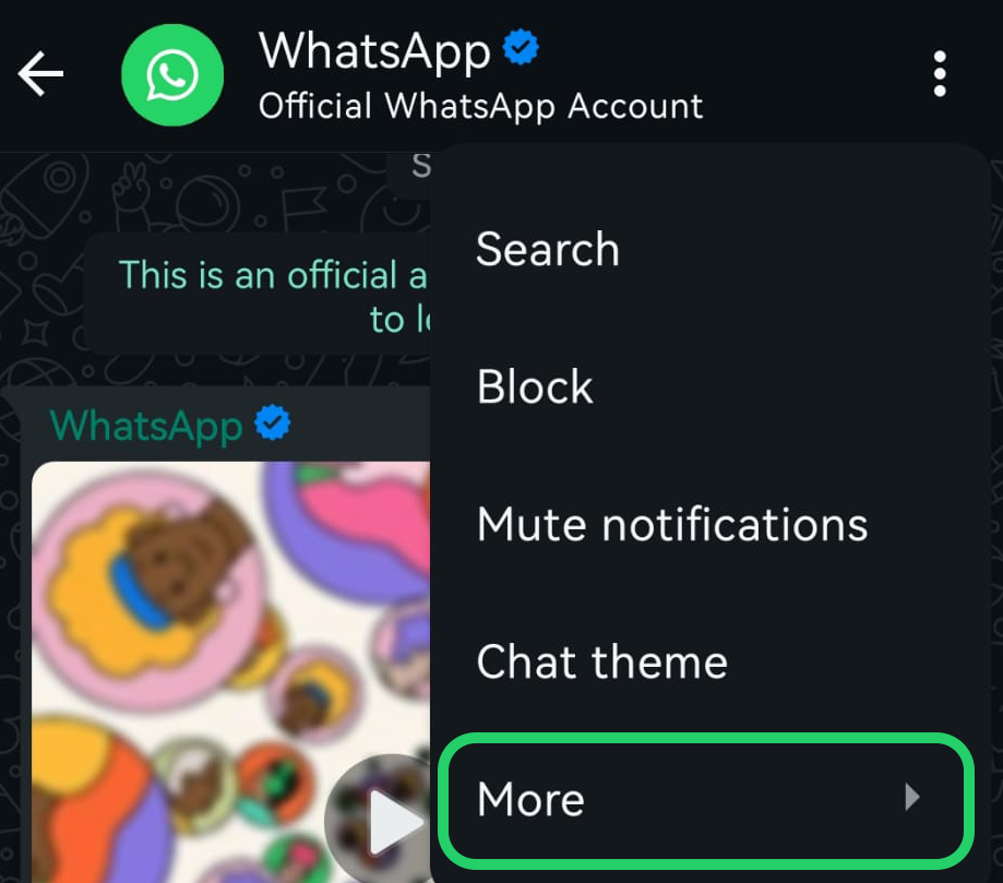 view WhatsApp contact info